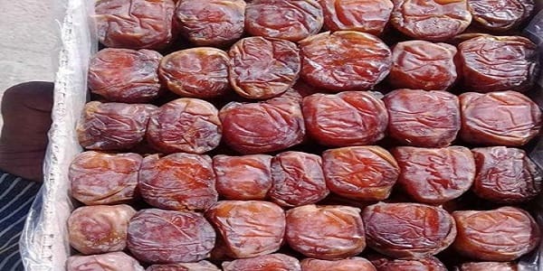 تصویر 2 از فروش خرما کلوته جیرفت + قیمت خرید به صرفه